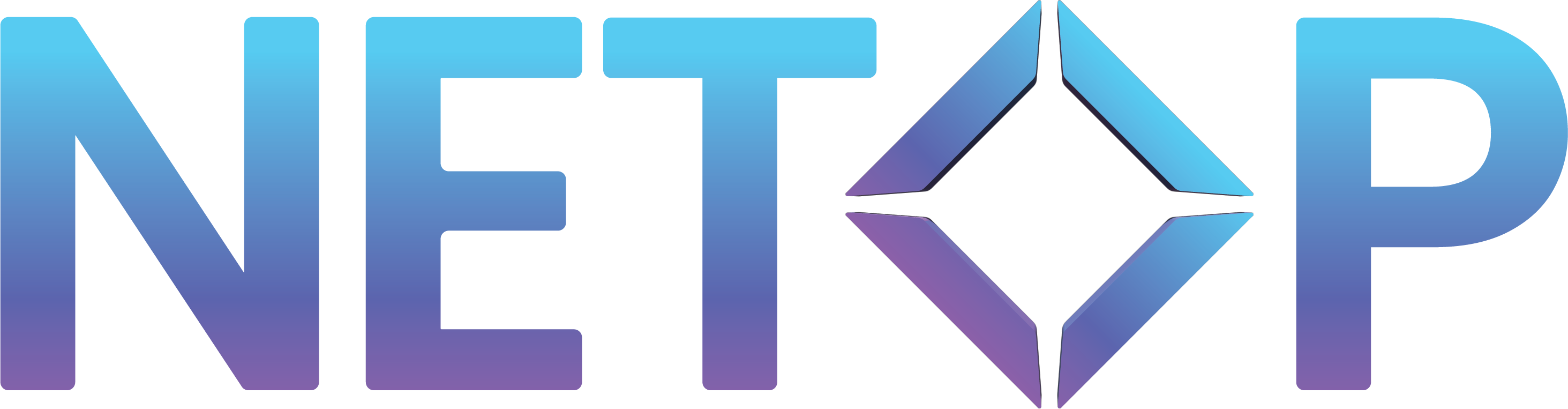 Netop — Sync Strategic experience
